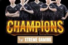 东南亚荣耀：T1战队官宣23savage留队，组建全泰阵容！